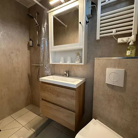 Het Muiltje Free Parking Διαμέρισμα Zandvoort