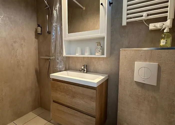 Het Muiltje Free Parking Apartment Zandvoort